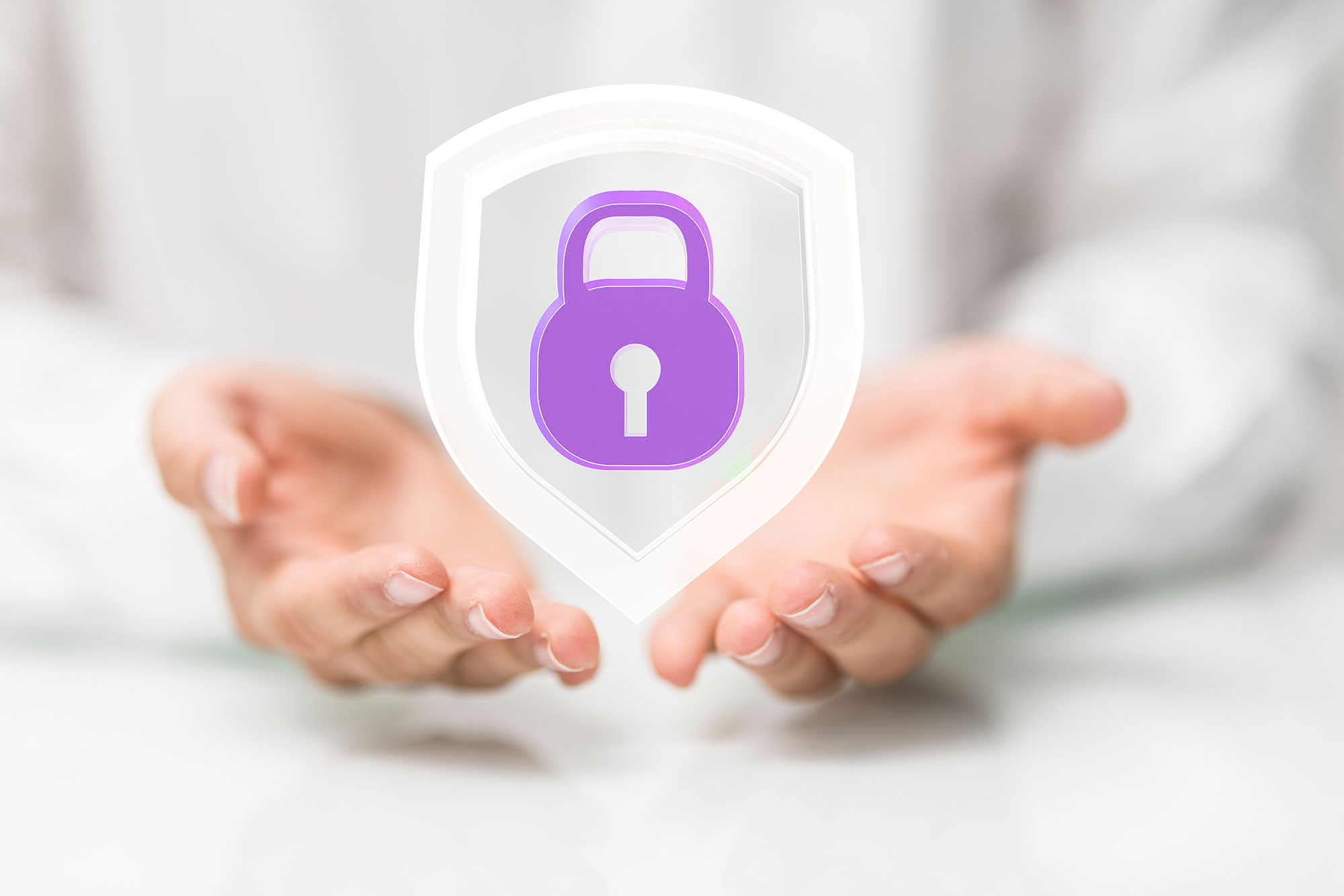 Header image on privacy policy page for Chameleon Digitization