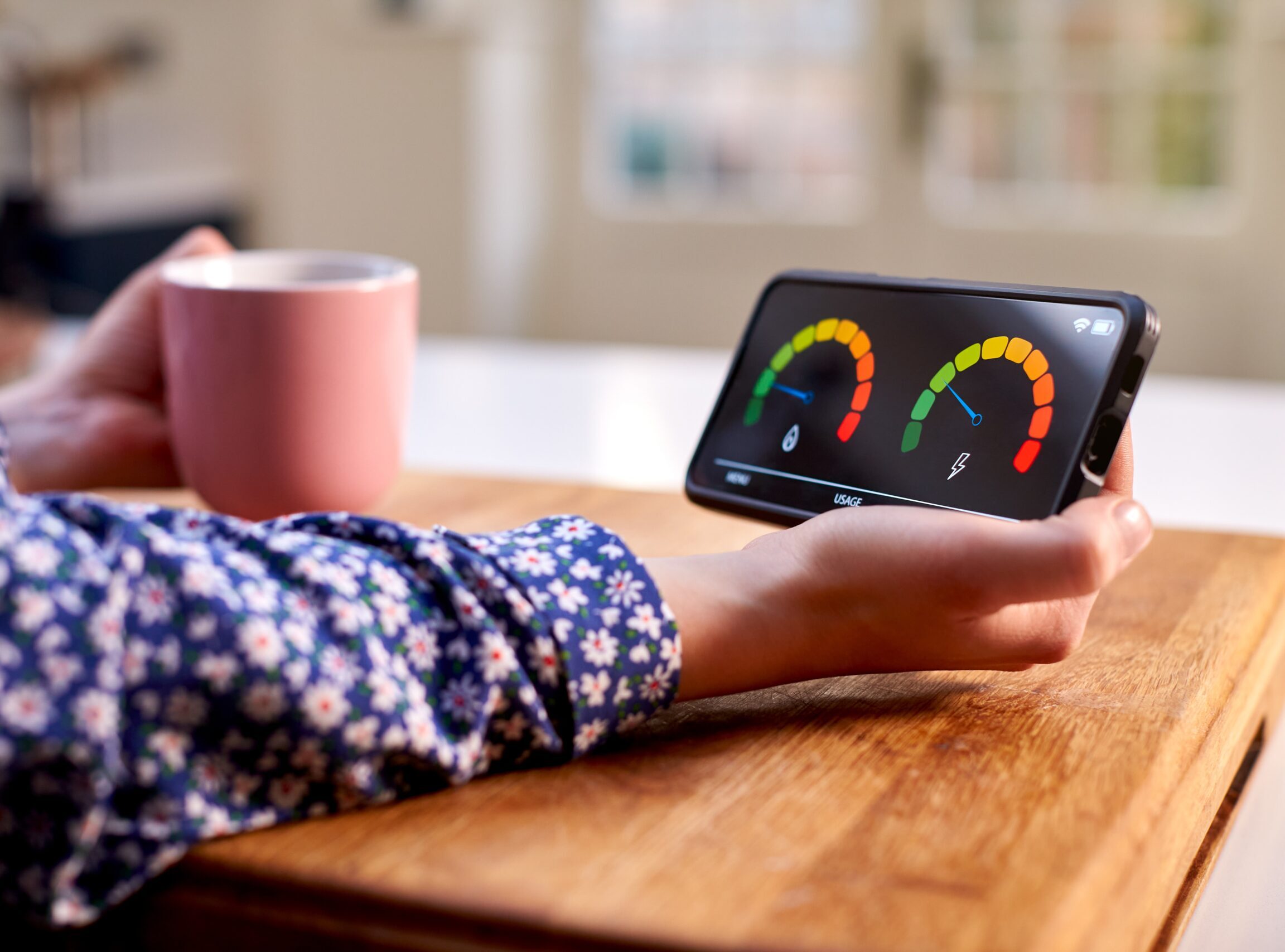 Header image from Chameleon Metering & Billing webpage.
